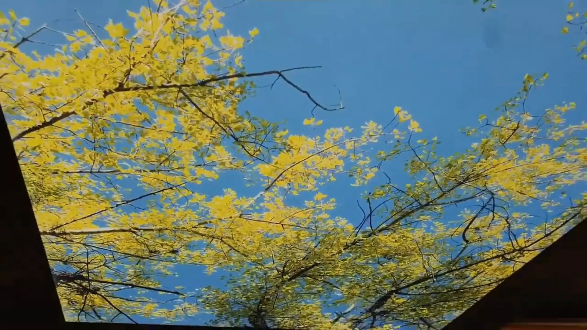 Химки, Куркинское шоссе, 2Б, фото 2