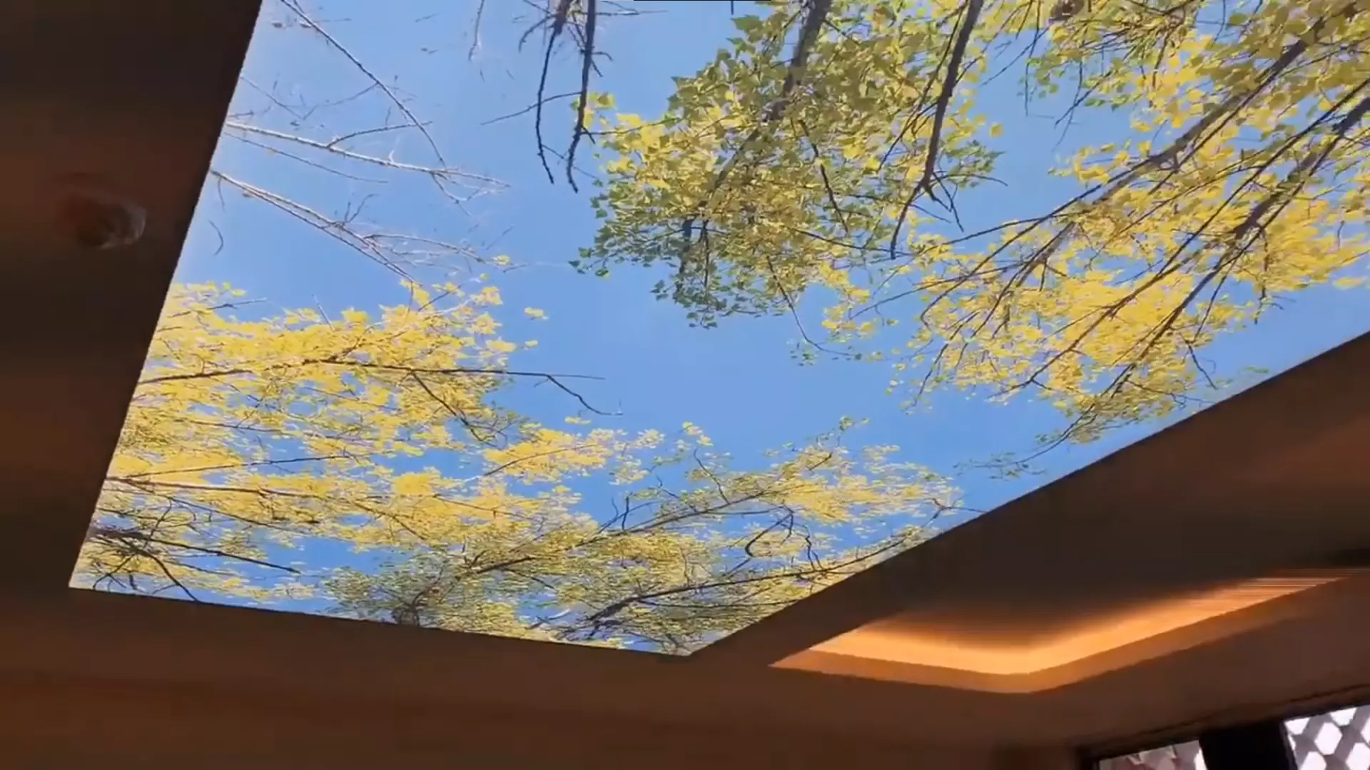 Химки, Куркинское шоссе, 2Б, фото 3